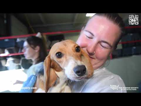 Humane Society PSA