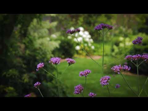 DIDIER DANET SA // Un écrin à contempler