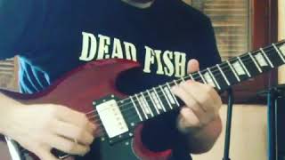 Guitar cover - NOFX - Liza &amp; Louise - Solo (and you know she wanted more)