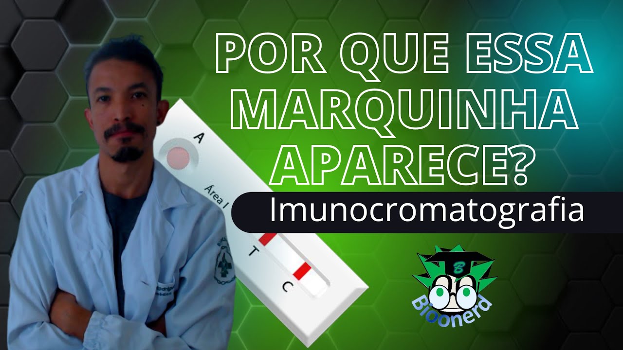 Imunocromatografia (testes rápidos)