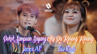 Pokok Sampean Sayang Aku Ra Kurang Kurang (feat. James AP) by Esa Risty - cover art