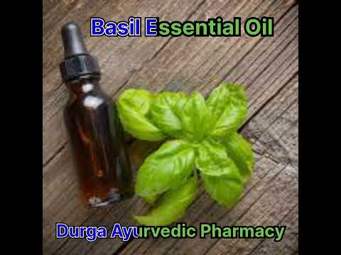 Leaves basil essential oil