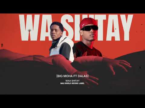 BIG MOHA FT DALAS | WAAN SHITAY ADOWGEYGA KULI WAN DILAY |Official Music