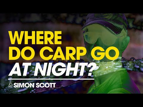 Where Do Carp Go At Night! Simon Scott