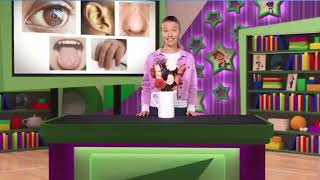 Power Up 1- Unit 2: All about us - Lesson 4: Cross-curricular