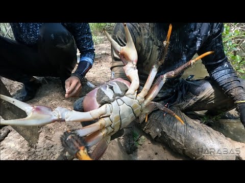 EP733-P1 - Sa Lumang Simbahan | Kuray Catch and Cook