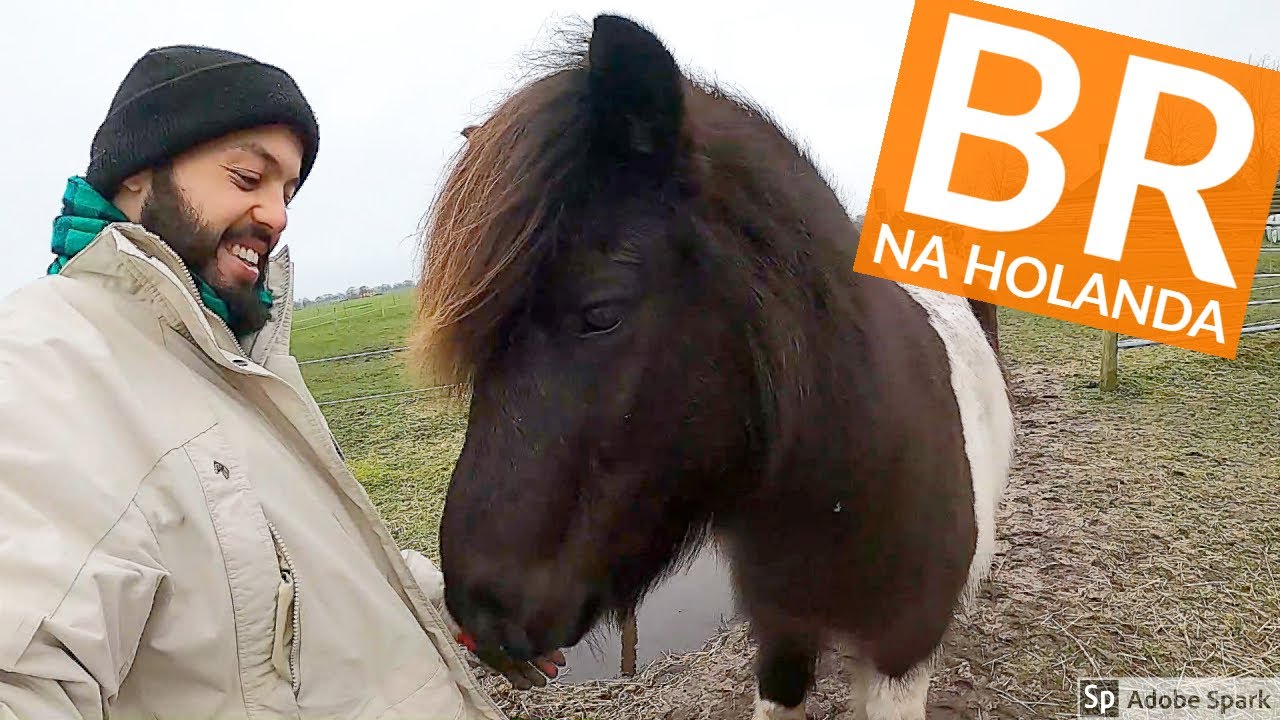 Como é viver no interior da Holanda | Work exchange