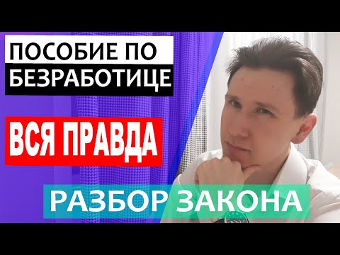 Пособие по безработице, разбор закона | Служба занятости населения | Биржа труда