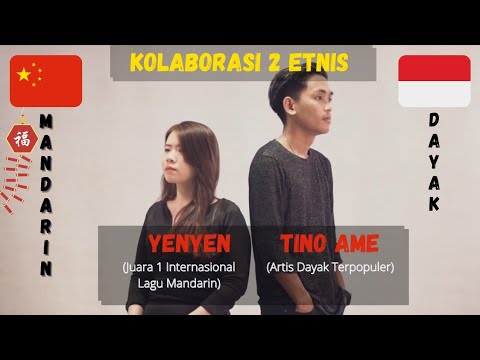 Dayak feat Mandarin (Kolaborasi 2 Negara) LAGU REHO - Tinoamee ft. YENYEN (JUARA 1 INTERNASIONAL)