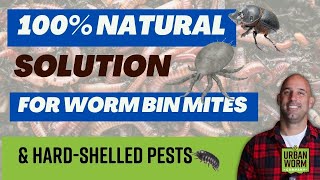 100% Natural Way to Kill Mites & Hard-Shelled Pests in Your Worm Bin