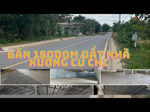 Cần Múa Bán Đất Xã Phú Mỹ Hưng Củ Chi Diên Tích 150000m Đường Nhựa Container