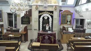 בית המדרש חזון יעקב • יום שני יב' חשוון תשפ'ו (בית הכנסת מוסאיוף) - התמונה מוצגת ישירות מתוך אתר האינטרנט יוטיוב. זכויות היוצרים בתמונה שייכות ליוצרה. קישור קרדיט למקור התוכן נמצא בתוך דף הסרטון בית המדרש חזון יעקב • יום שני יב' חשוון תשפ'ו (בית הכנסת מוסאיוף) - התמונה מוצגת ישירות מתוך אתר האינטרנט יוטיוב. זכויות היוצרים בתמונה שייכות ליוצרה. קישור קרדיט למקור התוכן נמצא בתוך דף הסרטון