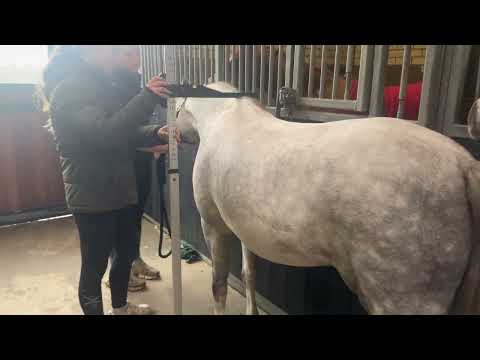 Measurement video