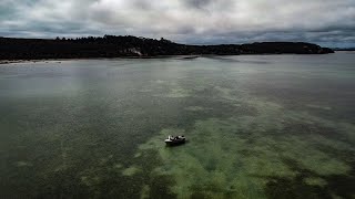 This Place Is So Special! | Kingfish Sharks & Snapper | Fishing NZ