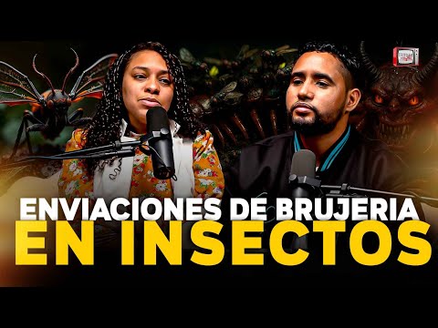 Cómo Liberarte de Enviaciones De Brujería con Insectos en Casa - Estefany Santana & WanderLey
