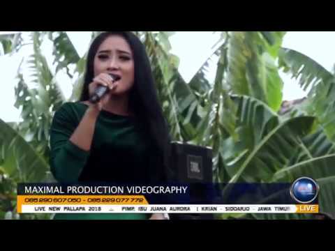 TEMAN BIASA -  ANISA RAHMA PARK ANKERS NEW PALLAPA - BALEADI SUKOLILO PATI 2018