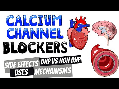 Beta Blockers Selective vs Non Selective Beta Blockers Uses Beta Blocker Side Effects