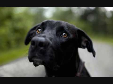 Thomas Coastline - Love Victims (Original Mix)