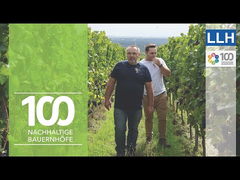 Vier Generationen, eine Haltung: Natur und Wein verbinden | Projekt 100 nachhaltige Bauernhöfe