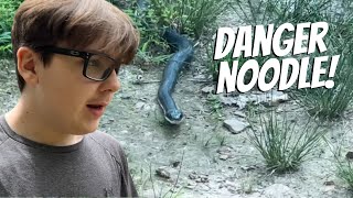 HUGE SNAKE!!! @DossFarm