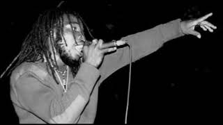 Sound Trooper Bushman Dubplates