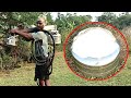 Toddy Palm Juice Tapping Palmyra Wine Harvesting From Palm Tree Traditional Wine Village Food