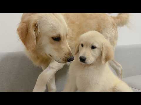 YouTube 썸네일