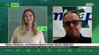 Miniatura do vídeo