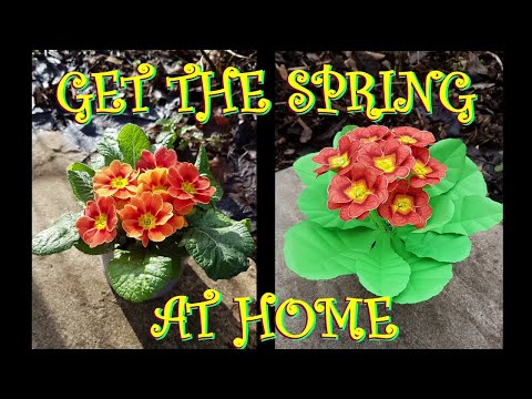 How to make Paper flowers. The primrose.