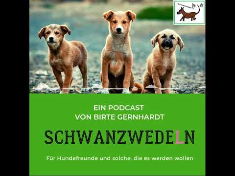 57 erstes Hundejahr - Schwanzwedeln