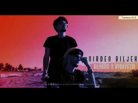 bilyanm X aydayozin-Nirden biljek