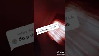 Download lagu Tiktok Ohayo Ringtone mp3