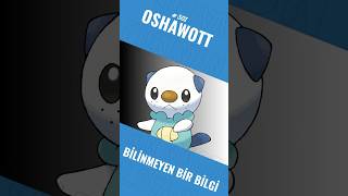 Oshawott'un Karnındaki Deniz Kabuğu Nasıl Oluşuyor?