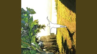 Cover art for Born again so many times you forget you are