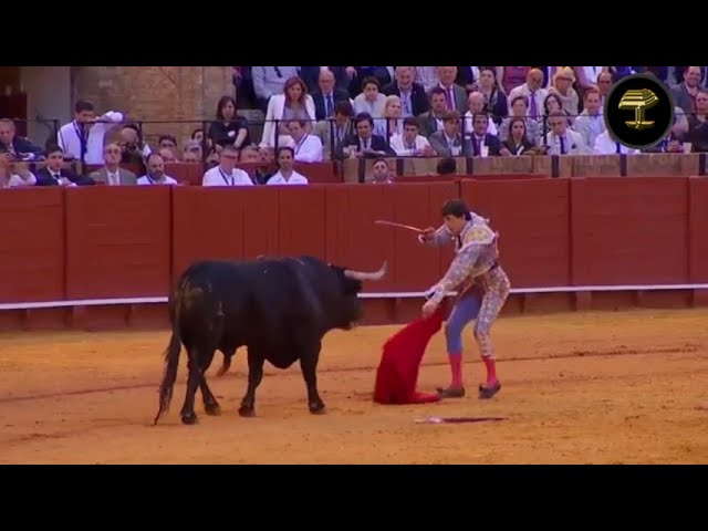 Roca Rey sufre una grave cornada en plena corrida en Sevilla