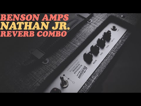 Benson Amps Nathan Junior, New, 230V Export Version Europe image 12