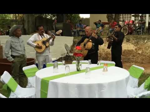 Jardin Florido FT.Blanco y negro