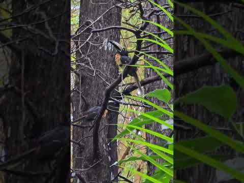 #la palma #Chalatenango #naturaleza