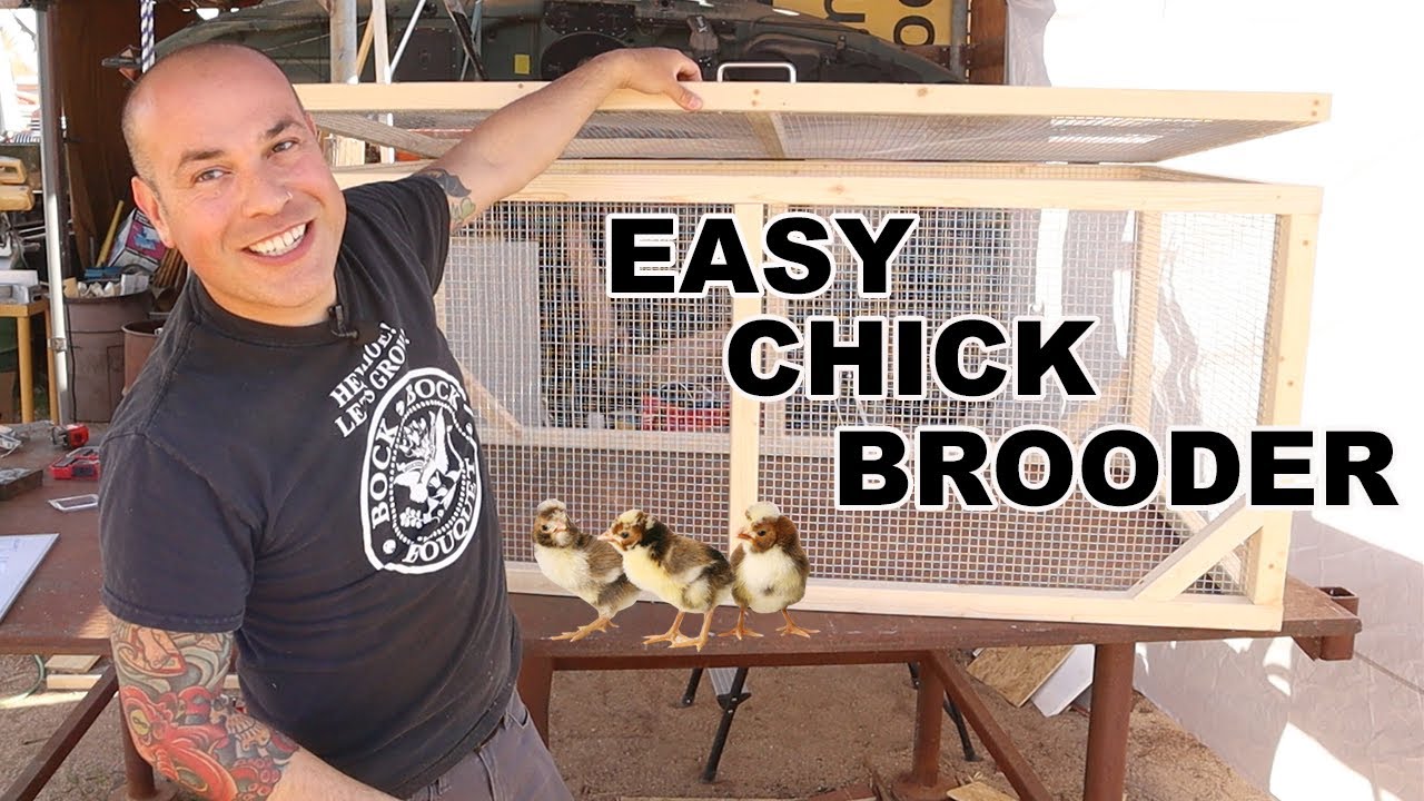 DIY Chick Brooder Design - Raise Baby Chickens Outdoors Easy