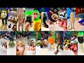 My Biggest Italian Brainrot Collection REVEALED 3D Printed Figures Compilation