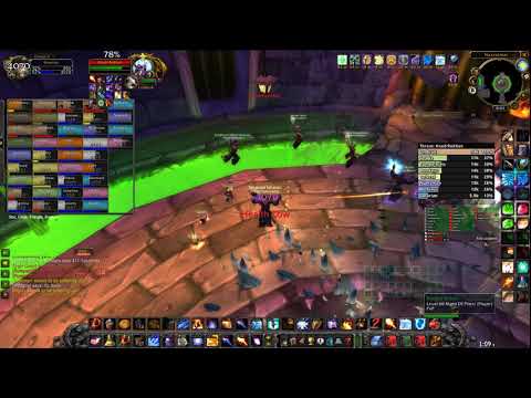 WoW Classic - Naxxramas - Anub'Rekhan - No World Buffs