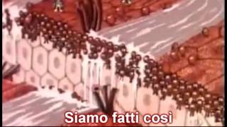 siamo fatti così - esplorando il corpo umano - sigla