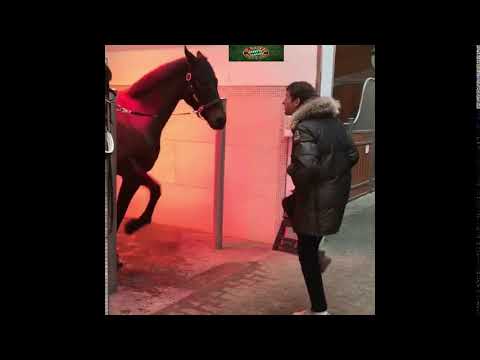 Stop horsing around, Thomas Müller 😅🐎      FC Bayern München