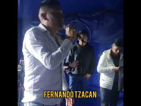 EL DICCIONARIO | Fernando Tzacán [Audio oficial]