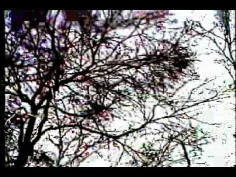 Sparkling Jets Video.mov