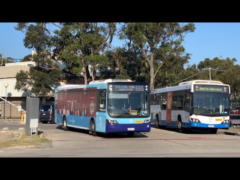 STA Sydney 2955 ST - Volvo B8RLE Euro 5 (ZF EcoLife Kickdown)