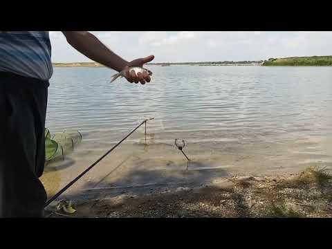 Фидер,Ростовановское,разнорыбица.