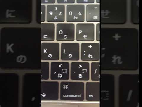 IMG 6778