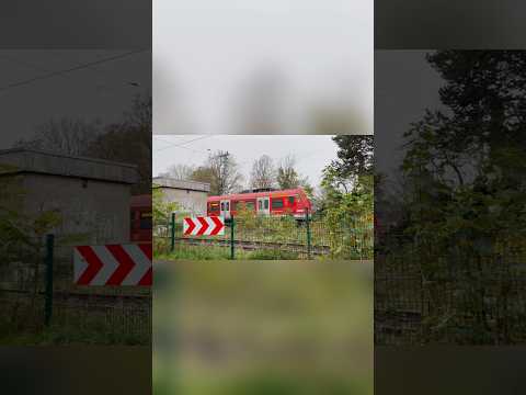 Einfahrt der S3 als Vollzug aus Bad Soden in Niederhöchstadt