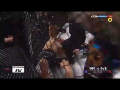 Angel's Fighting Brutal KO: punch, knee and head kick